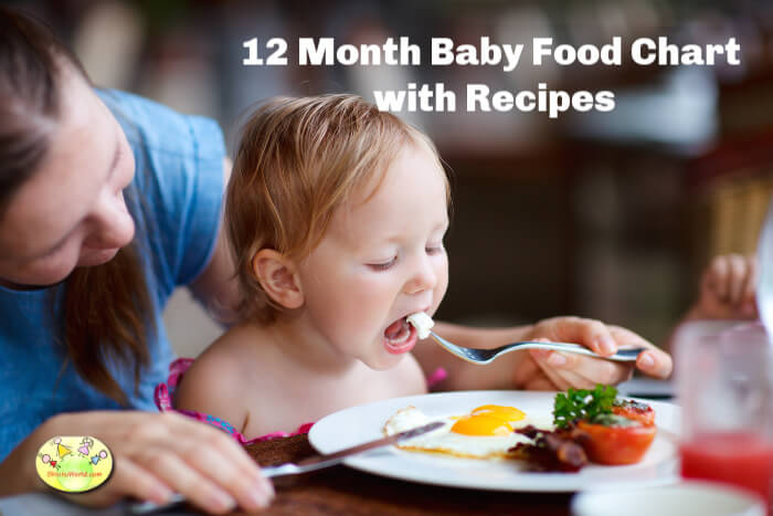 1 year baby food chart