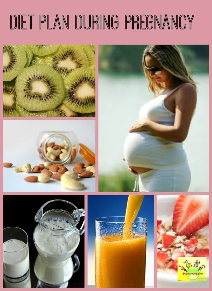Diet Plan During Pregnancy diet-plan-during-pregnancy