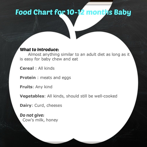 Indian Baby Food Chart 10 Months