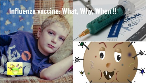 Flu Vaccine / Influenza Vaccine: What, Why and When