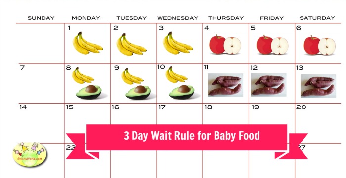 3 day wait rule for baby food