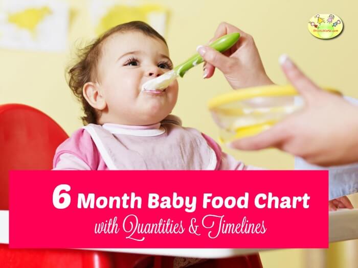 6 month baby food chart/ meal plan