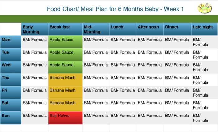 6 month baby food chart/ meal plan
