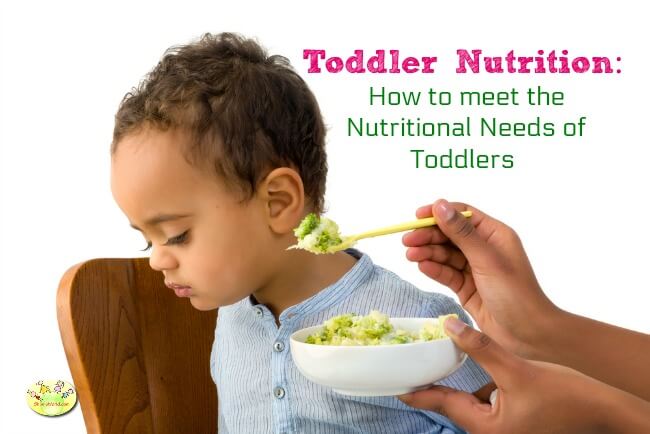 How to meet nutrition needs of toddlers