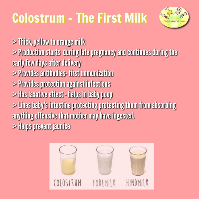 colostrum- the first yellow milk