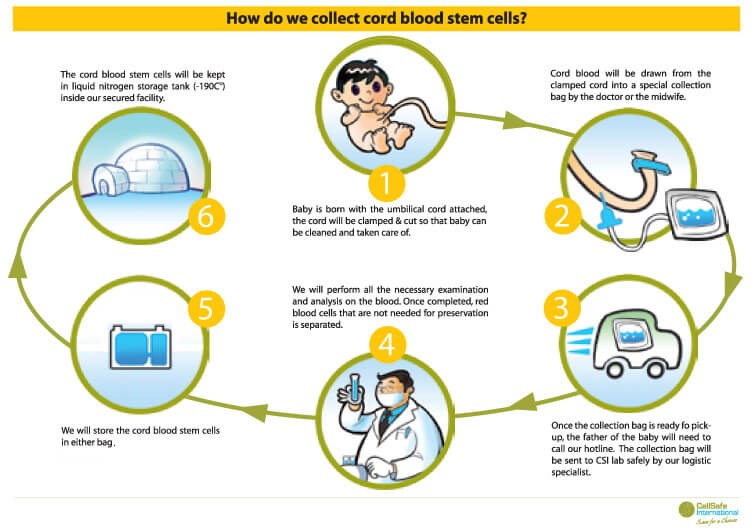 Cord blood banking