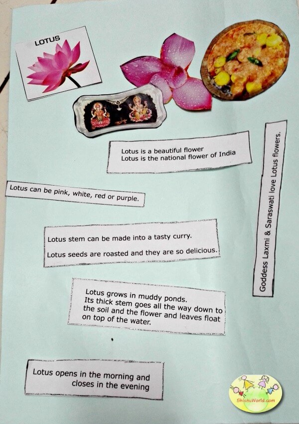 Show n tell activity for kids - Lotus flower