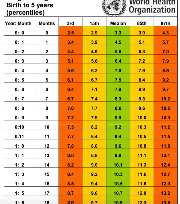 WHO weight chart for boys