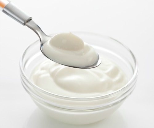 Homamde yogurt/ curd for baby