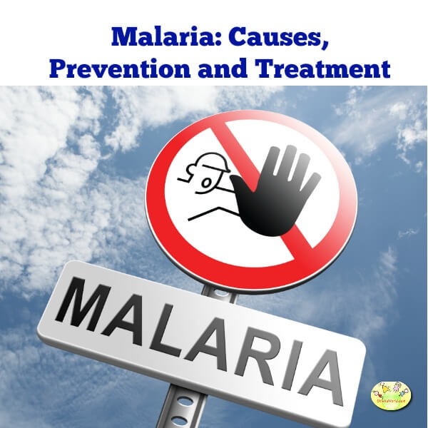 Malaria: Causes, Prevention and Treatment