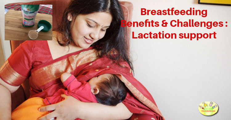 Breastfeeding tips - Shatavari