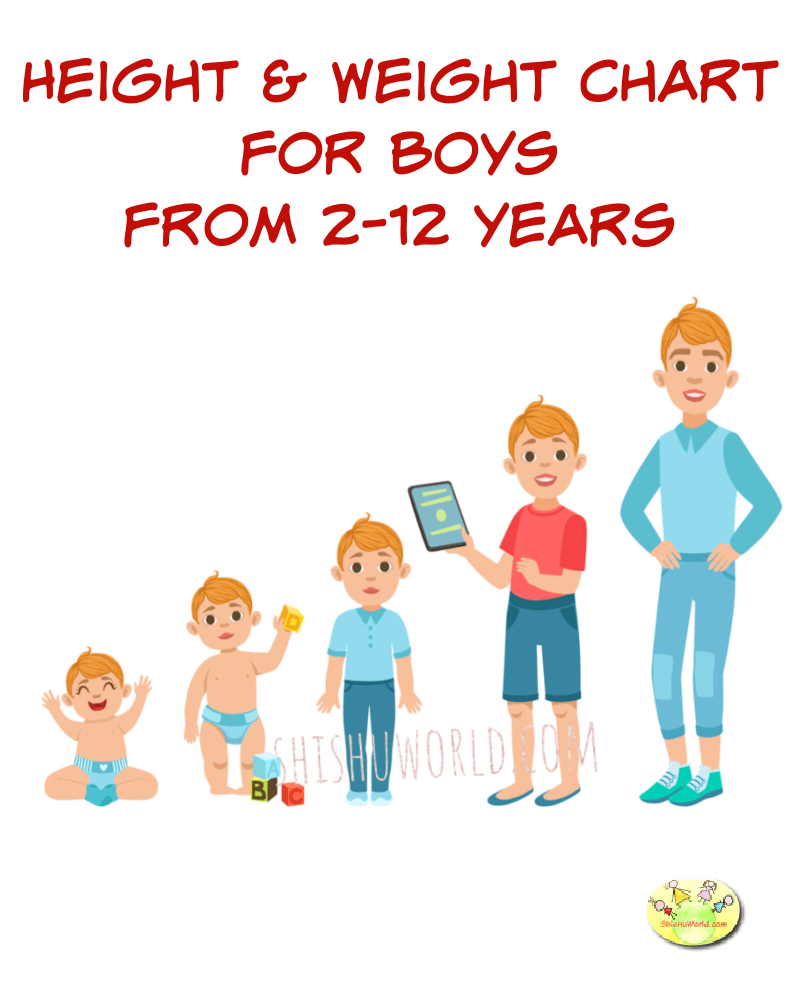 Weight Chart, Height Chart for Boys from 2 - 12 Years