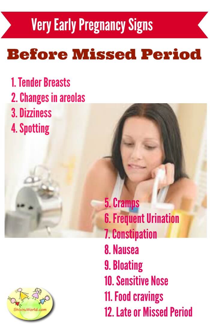 Diet Plan during Pregnancy