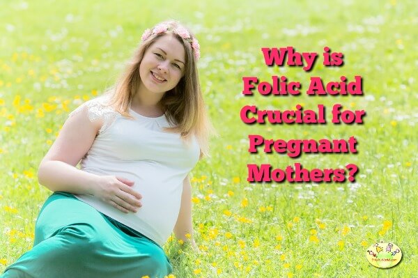 Why is Folic Acid Crucial for Pregnant Mothers?