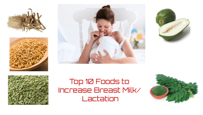 Top 10 foods to increase breastmilk supply/ Lactation foods