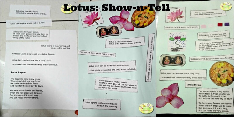 Lotus show n tell activity for kids