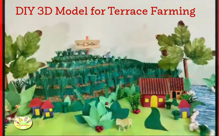 DIY model for Terrace Farming